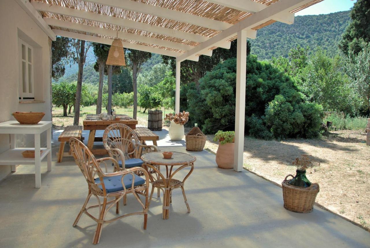 B&B Giallo Limone Teulada Esterno foto